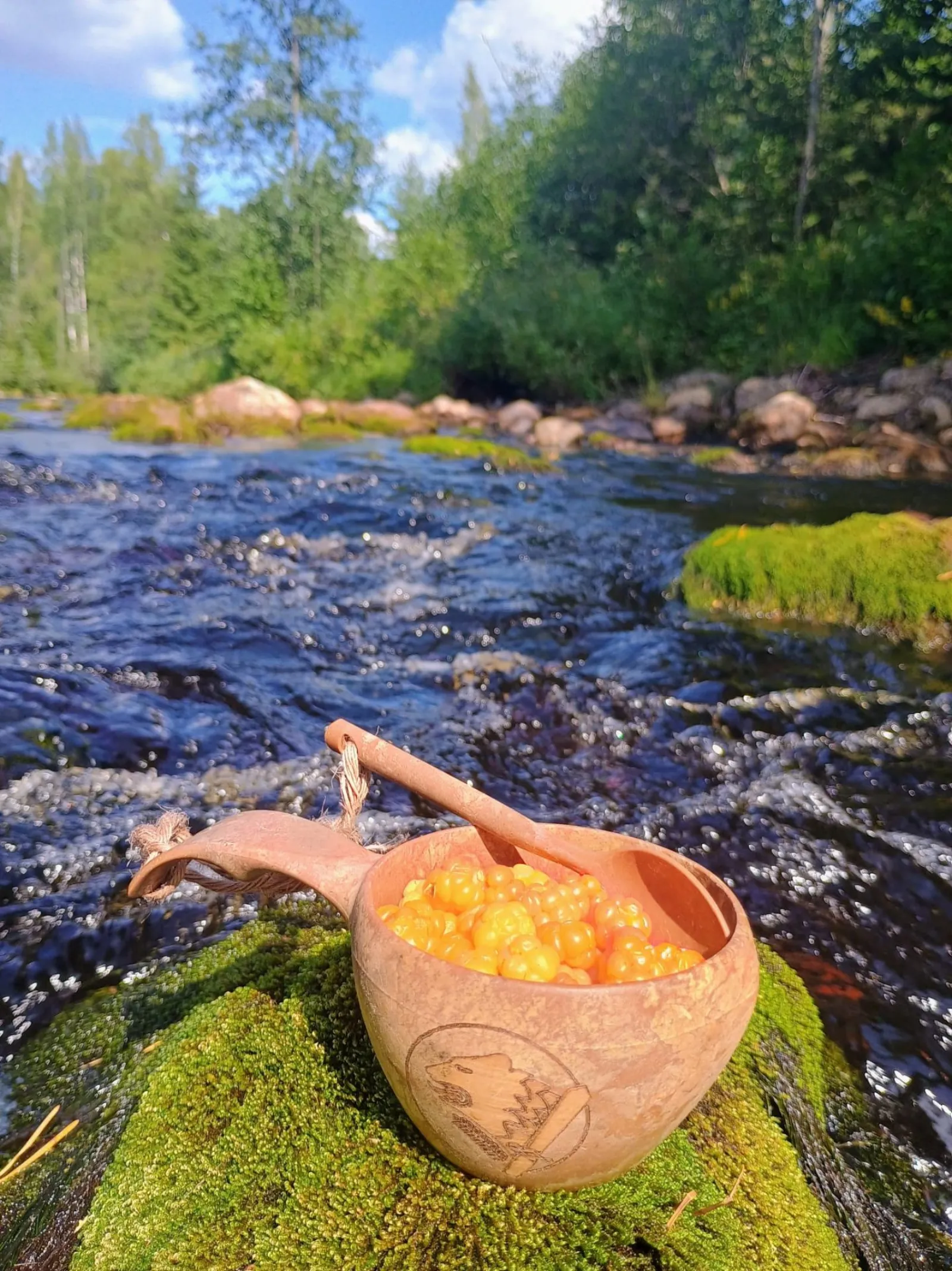 Hillasaalis kuksassa kosken äärellä