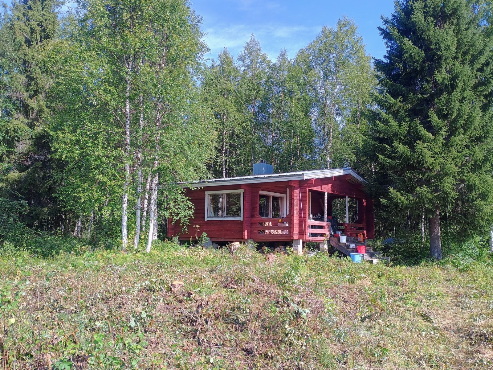 Punainen erämökki metsän keskellä