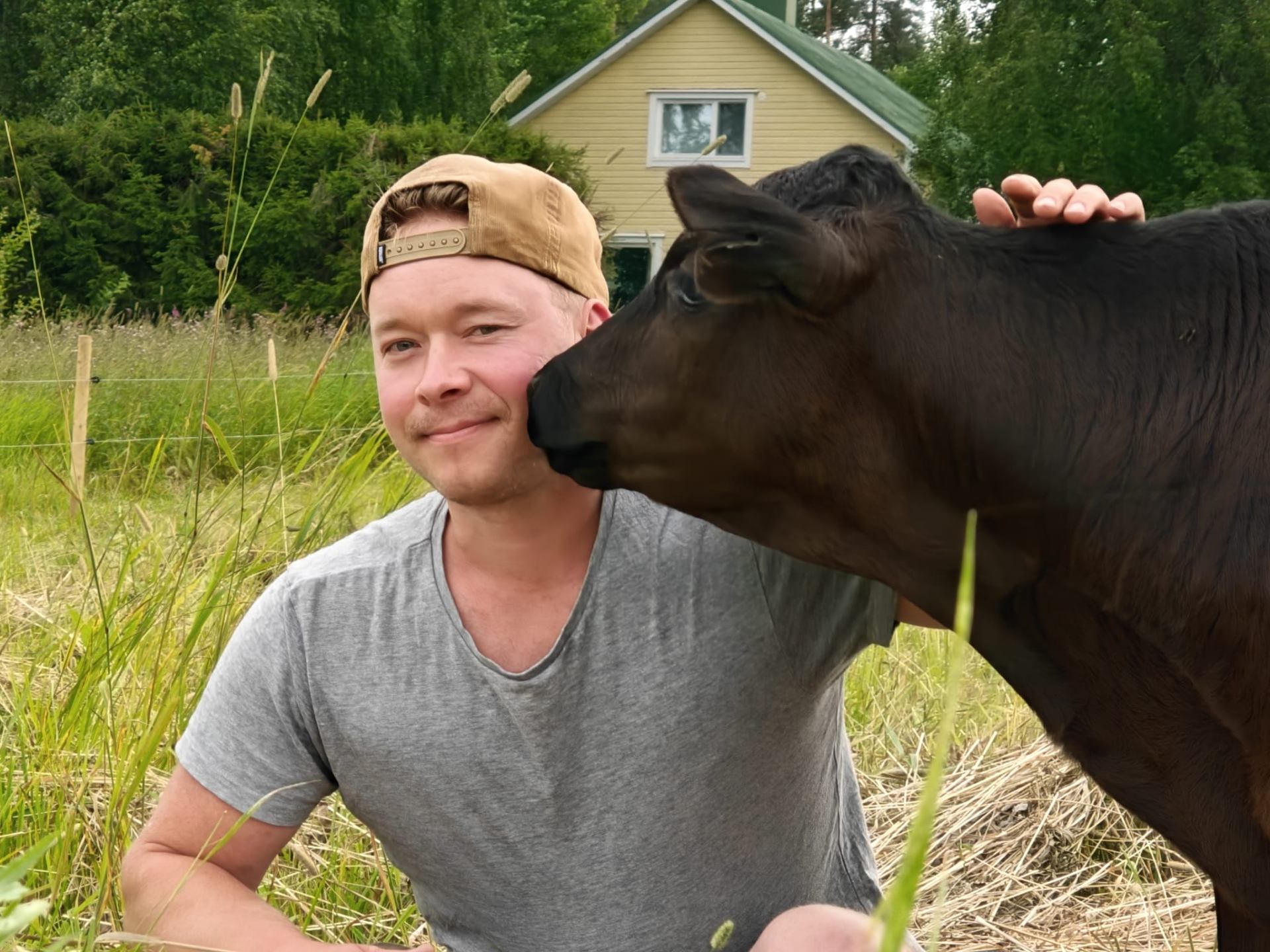 Jempa Ruotsalainen pienmaatilallaan vasikan kanssa