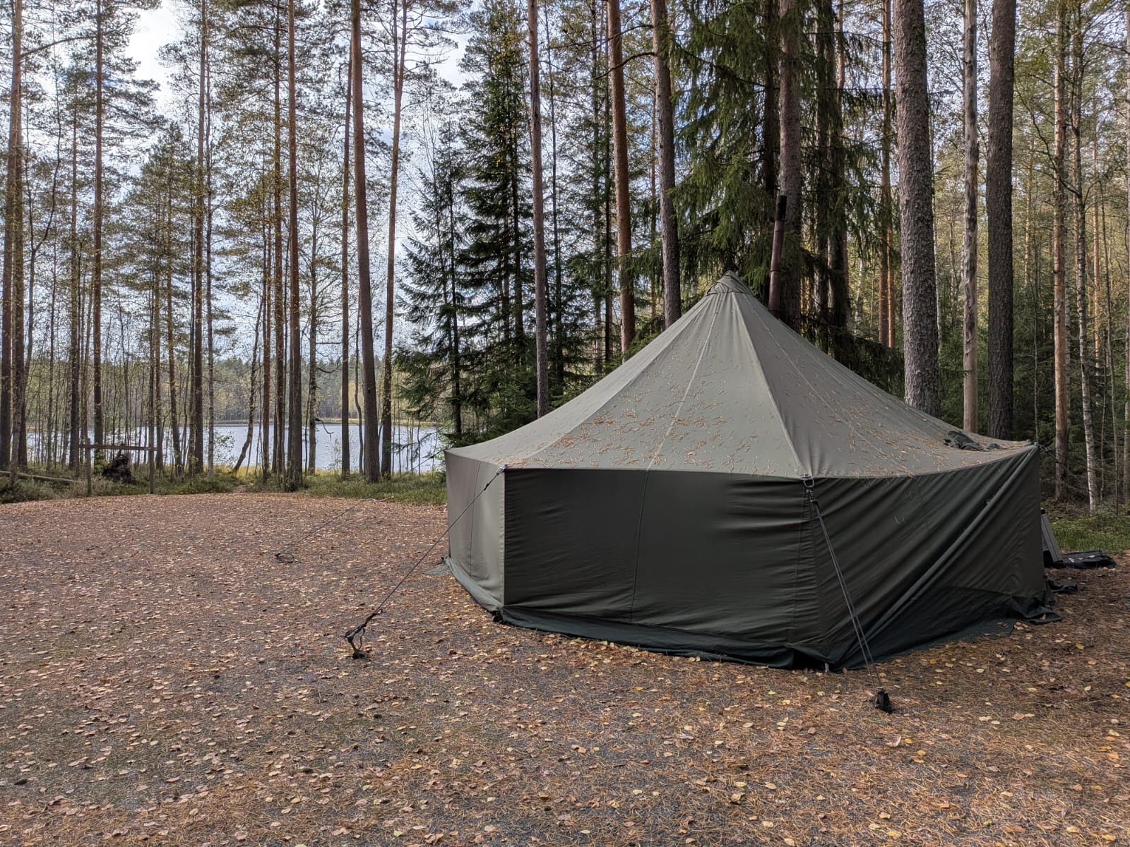 Puolijoukkueteltta mäntymetsässä järven rannalla