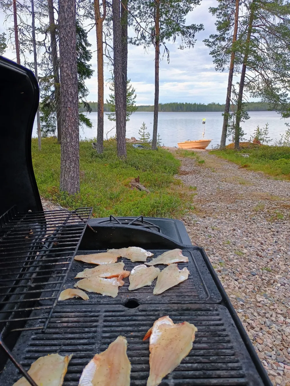 Kalansaalis grillissä järven rannalla
