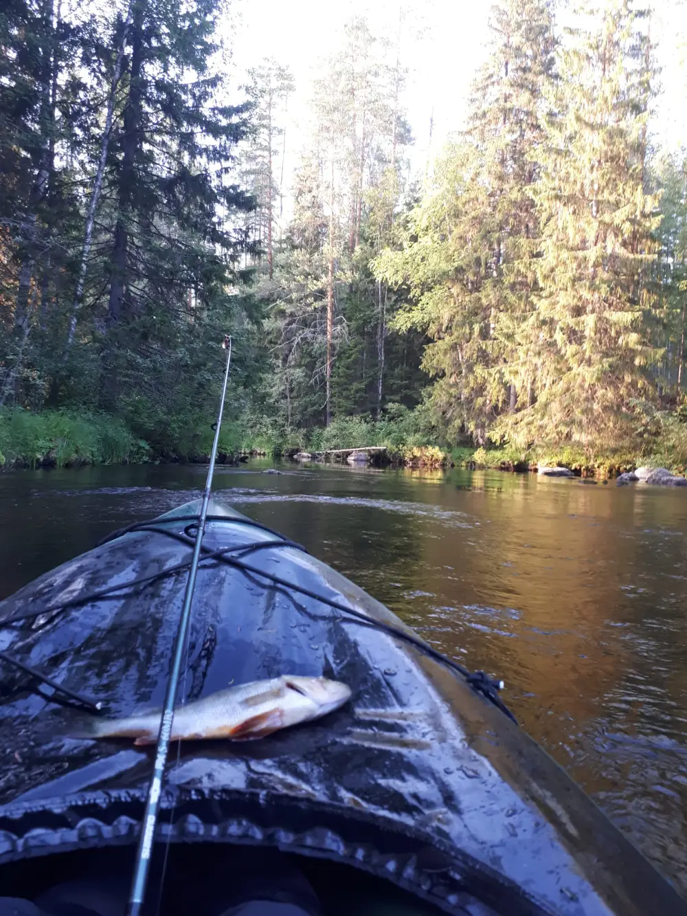 Packraft jokireissulla
