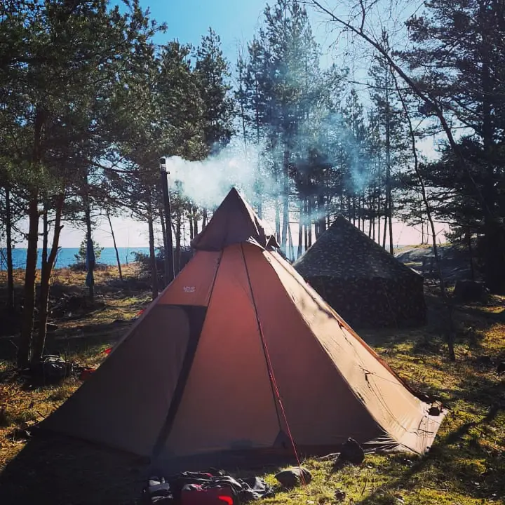 Teltta merenrannan mäntymetsässä