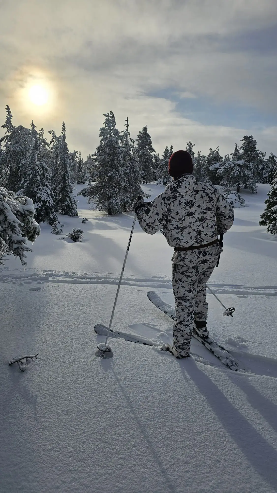 Hiihtoreissulla lumisessa metsässä