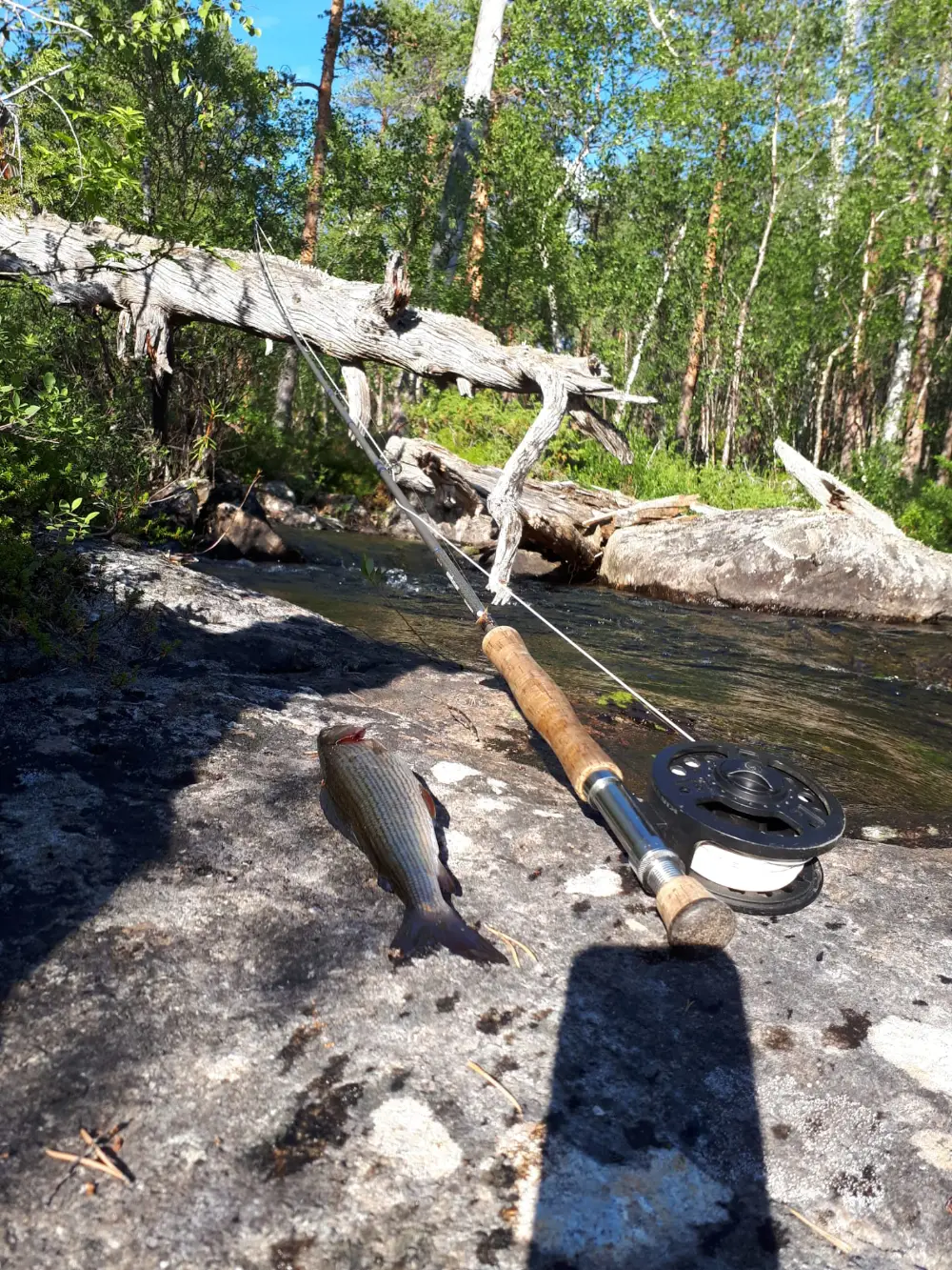 Lämmin kamiinatuli puolijoukkueteltassa
